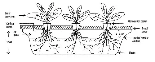 Simple Hydroponic System 2 Figure 1 Cross-Section of a Trough for Hydroponics