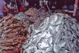 dried fish
