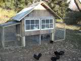 chicken coop