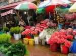 dangwa flower market