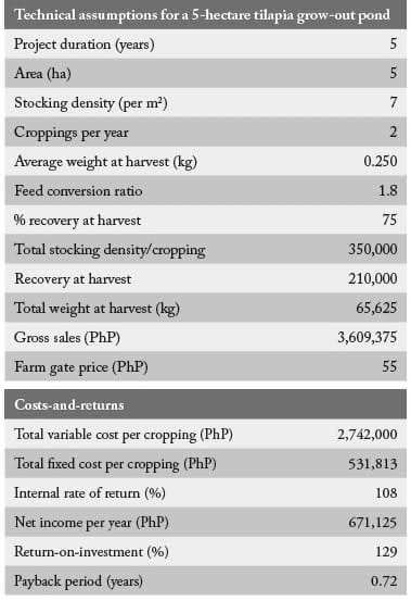 tilapia financial indicators