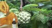 atis lotion mosquito repellent