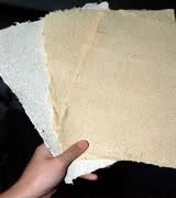 sweet sorghum paper