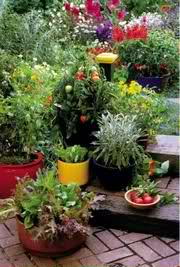 Edible Landscaping - Do-It-Yourself Food Garden 1 edible landscape garden