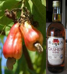 cashew recipes