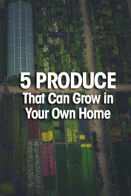 grow in your own home