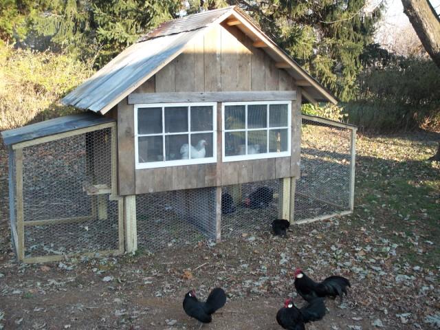 How To Make A Small Chicken Coop
