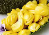 jackfruit