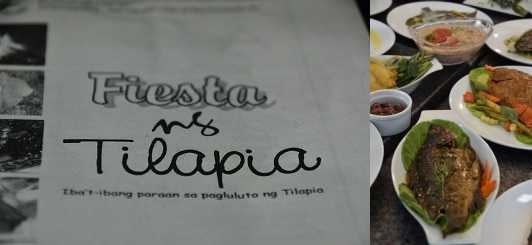 tilapia recipes - fiesta ng tilapia