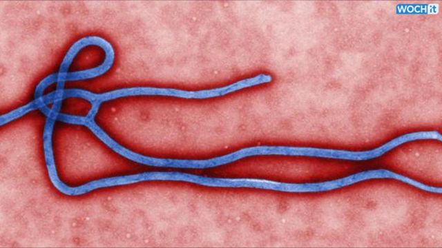 VIDEO: Ebola Starting To Take An Economic Toll In Region 1