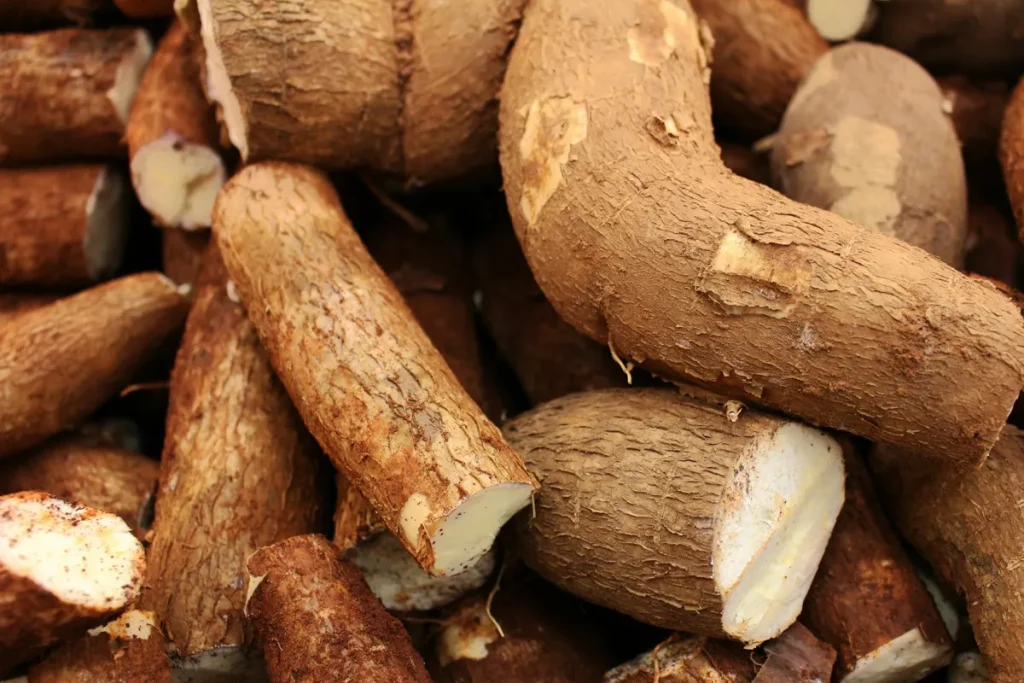 Bio-ethanol Production from Cassava 1 Bio-ethanol Production from Cassava