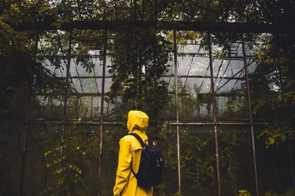 The Greenhouse Effect: How to Start Growing Your Greenhouse 1 greenhouse effect