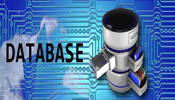 databases