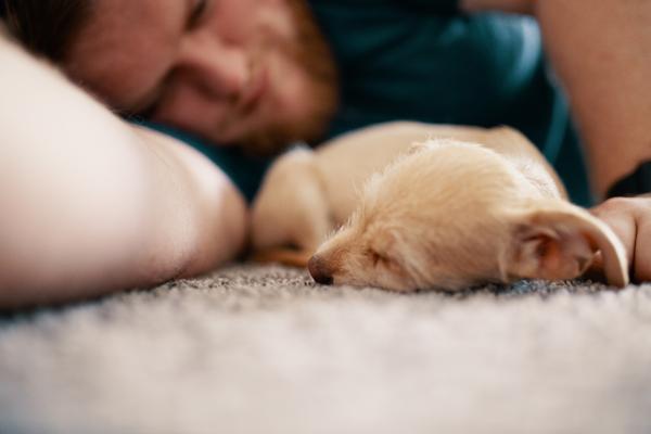 Why Do Some People Talk in Their Sleep? 3 sleep talking