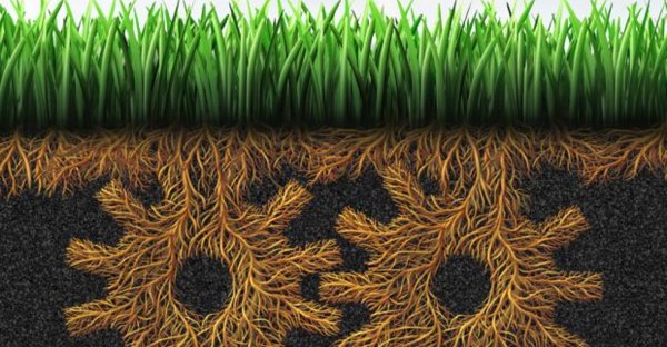 Everything you should know about Grassroots marketing 2 grassroots marketing