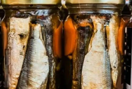 bottled sardines in corn oil