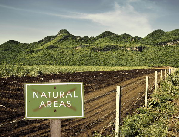 How Coroplast Signs Can Benefit Your Business 1 coroplast signs