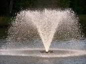 6 Key Factors That You Must Follow When Buying Fountain Pond Pump 1 fountain pond pump