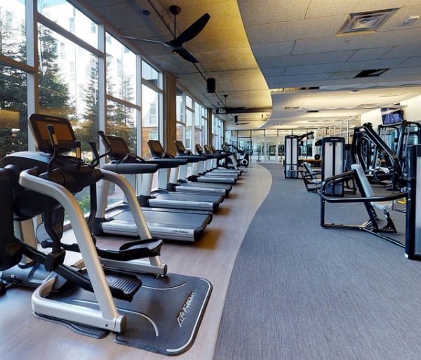 Gym Fitness Treadmill Workout  - lewisgoodphotos / Pixabay