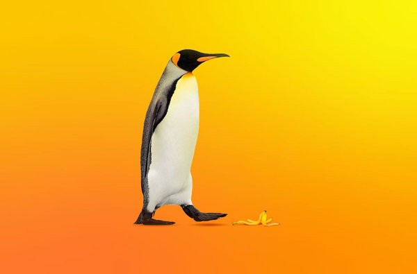 penguin