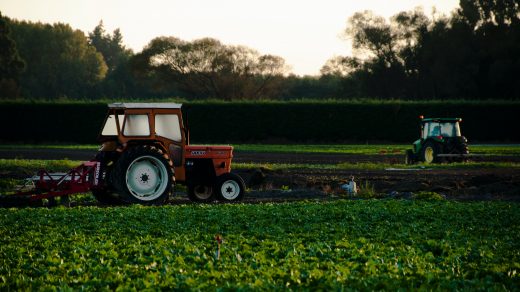 agricultural management orange tractor