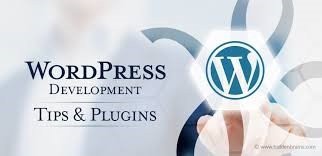 WordPress development tips and practices 1