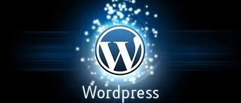 wordpress development 3