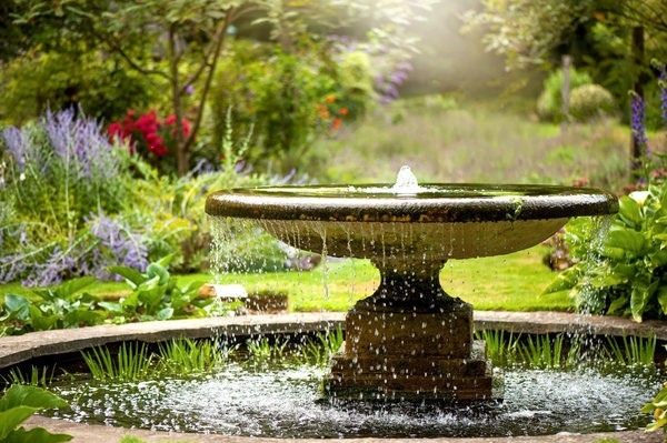 Five Key Factors to Look for When Buying a Fountain Pump Online 1 fountain pump