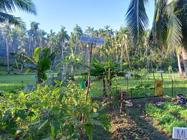 ate arlyn and their backyard