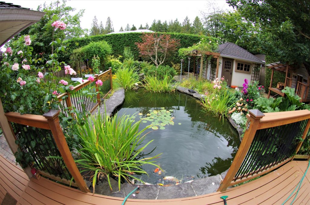 Beautiful Garden Ideas 3 calm water of pond surrounded by plants and flowers