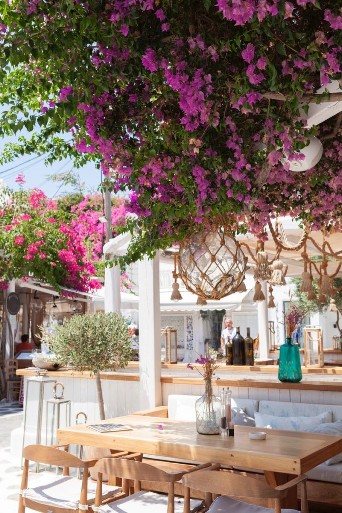 tables under flower tree