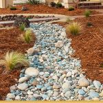 Elk-Grove-Landscaping-Services.jpg