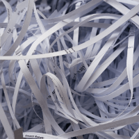 Shred Business Documents