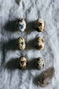 six quail eggs on grey cloth