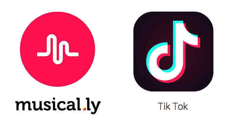 tiktok fans