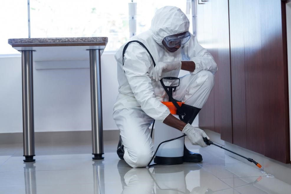 How Can Your Business Benefit from Commercial Pest Control? 1 Commercial Pest Control