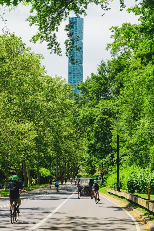 take a break from local park