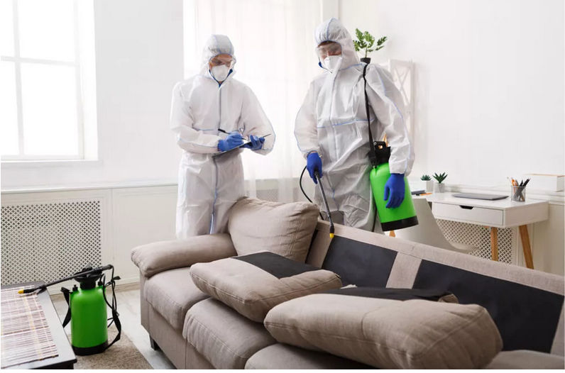 What to Expect from a Biohazard Cleanup Company 1 biohazard cleanup services