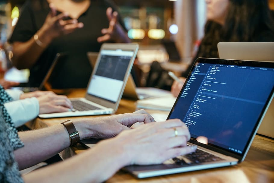 Which is the Better Career Path for You, Web Development or Software Development 1 Web Development or Software Development