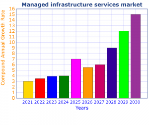 Managed Infrastructure Services Market