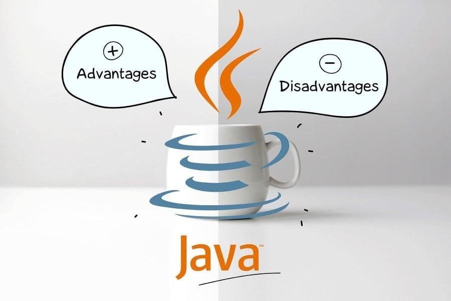 Advanced java course - Expectations vs Reality & Future Scope 2 Figure 2. Source: innowise-group.com
