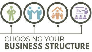 business structure