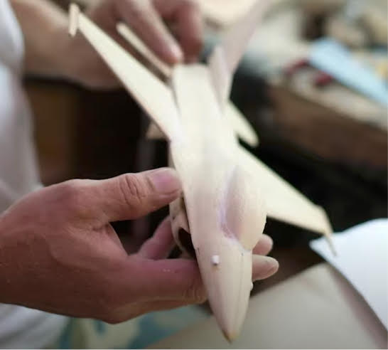 Filipino aircraft model creator
