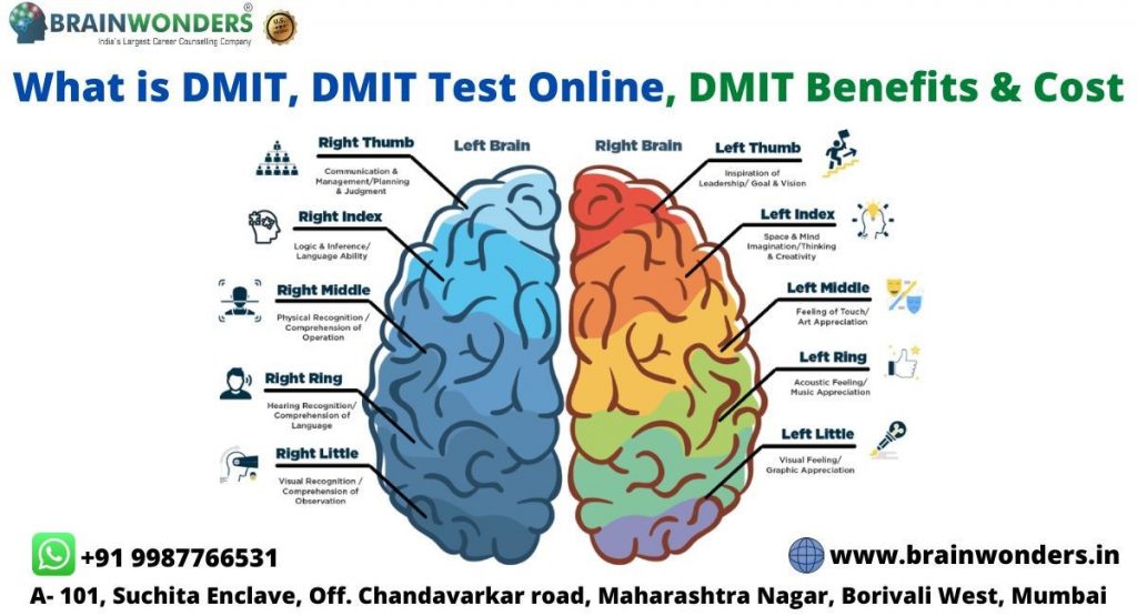 DMIT Test online