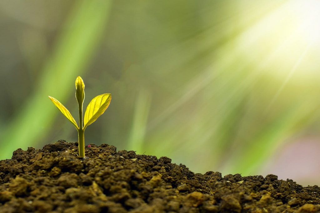 8 Smart Ways To Invest Your Money 1 investment