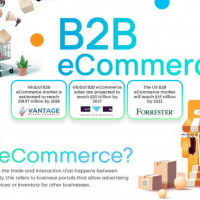 B2B ecommerce