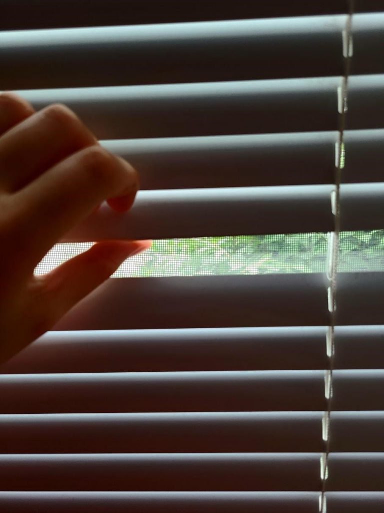 clean your roller blinds