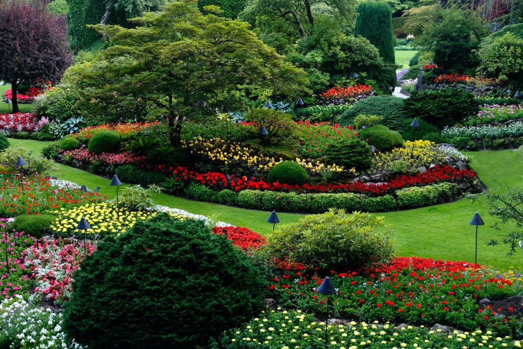 5 Landscaping Ideas that Would Blow Your Mind Away 1 landscaping ideas