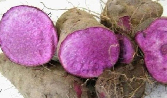 Violet sweetness: Ubi's full potentials uncovered 1 purple yam
