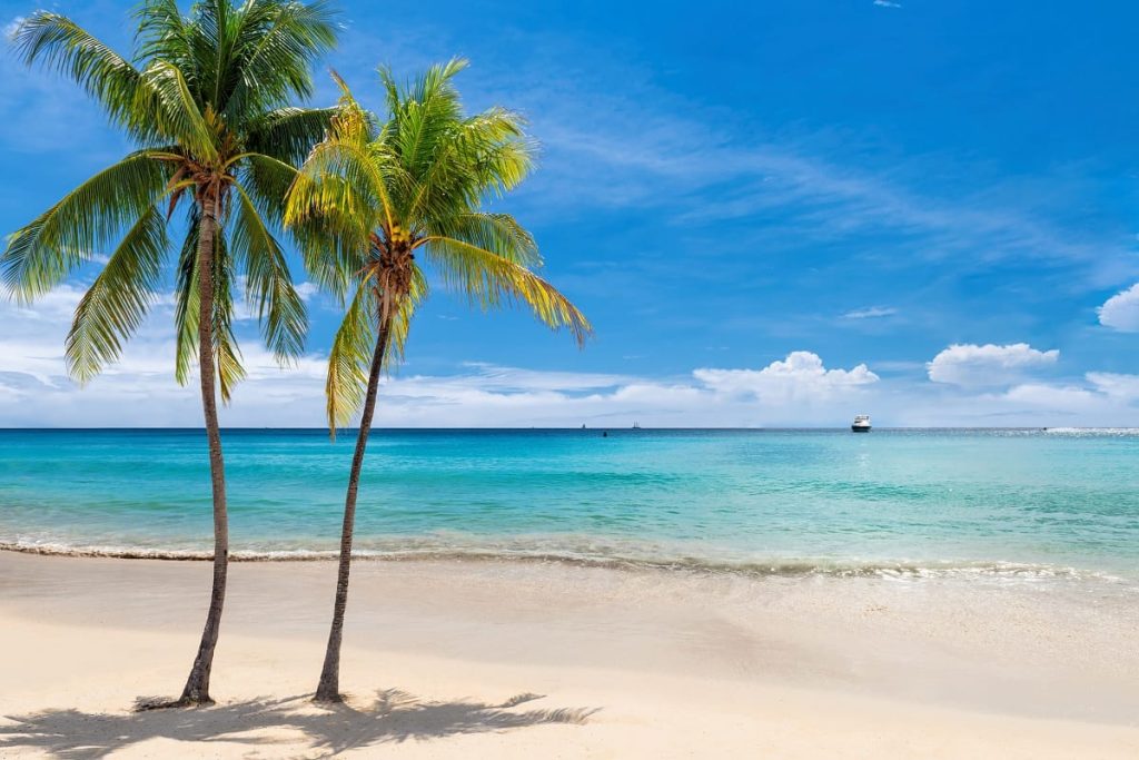 sunny destination